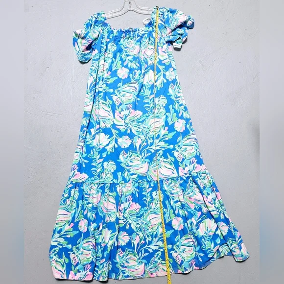 Lilly Pulitzer Blue and Pink Floral Maxi Dress - Picture 8 of 10